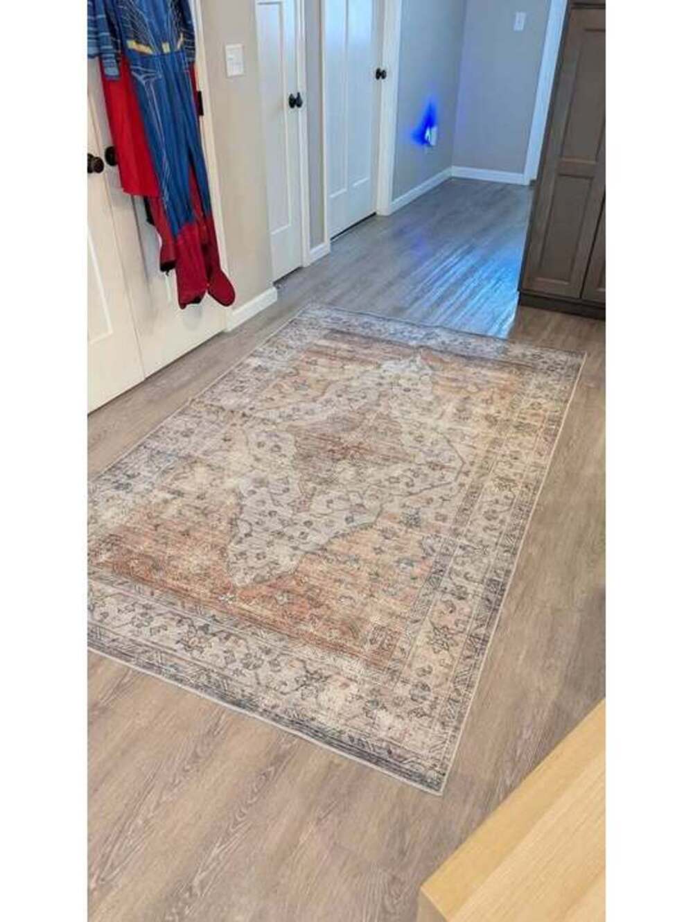 New Never Used | nuLOOM vintage style distressed area rug